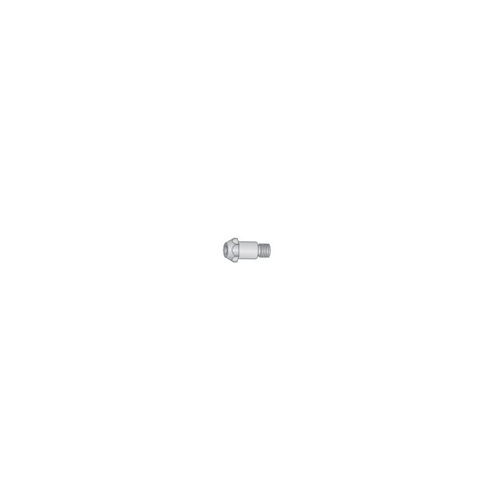 Supporto punta M6 per torcia BZ 36 (10pz)